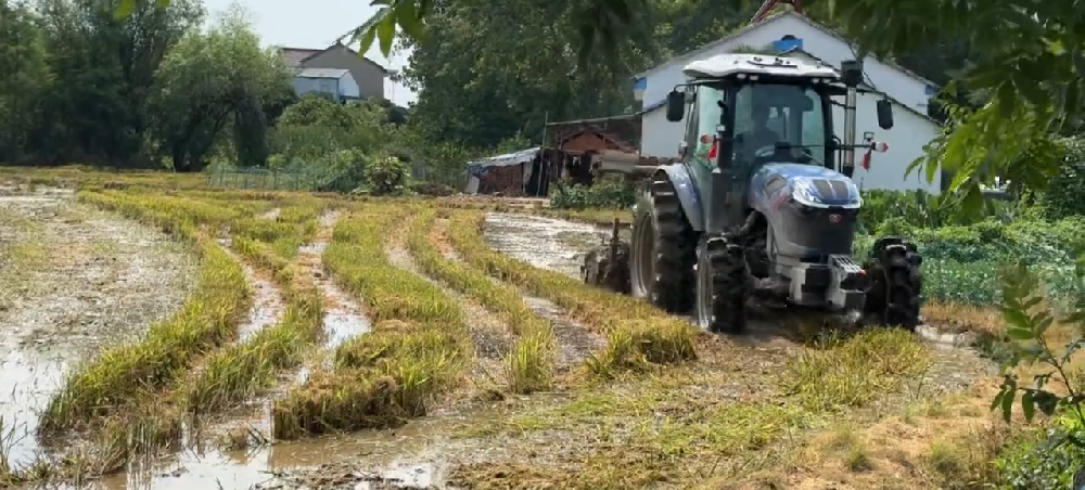 以澎湃動(dòng)力為生產(chǎn)深度賦能，東風(fēng)井關(guān)EN1204拖拉機(jī)作業(yè)視頻